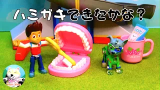 PAW Patrol パウパトロール (#933) ロッキー、はみがきできたかな？ Don't Want to Brush  teeth!