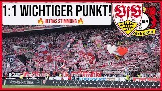 Cannstatter Kurve Stimmung 🔥 / VfB Stuttgart 1:1 Leverkusen / Fangesänge