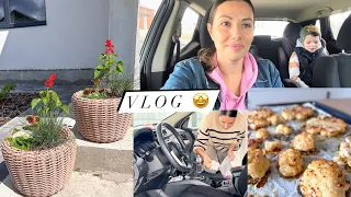 КВІТИ ДЛЯ КАШПО 🥰 БАГАТО СТРАВ 😋 ПЛОВ / ПІВНИК / ЦВІТНА КАПУСТА 😋 РЕЦЕПТИ 👌Прибираю в машині 🛻