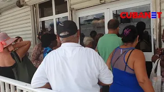 ESCASEZ: colas en CUBA para comprar pollo, una escena cotidiana