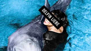 Der Delfin, der sich Selbst das Leben nahm