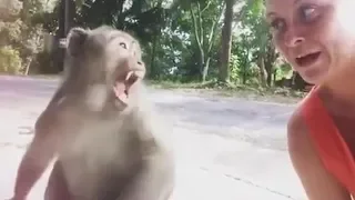 If you LAUGH this Monkey will Visit You 🐵😂😱 YLYL ★67