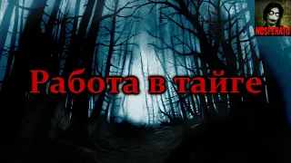 Работа в тайге. Начальство распорядилось людей туда больше не пускать. Страшные истории на ночь