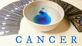 CANCER✨Water Reading✨THIS Pays Off BIG TIME & Major LOVE Coming in! FEBRUARY 2022