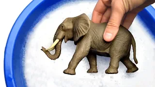 Sea Creatures For Kids - Learn Animals Names and Words in English For Toddlers - Children Toy Videos