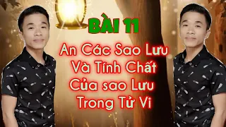 Bài 11 : CÁCH AN CÁC SAO LƯU VÀ TÍNH CHẤT CỦA CÁC SAO LƯU TRONG KHOA TỬ VI ĐẨU SỐ || TỬ VI HỌC QUÁN