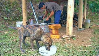 Harvest eggs and cook a nutritious meal, Make a sturdy wooden craft chair - Forest life | Ep.471