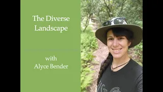 Session 196:  The Diverse Landscape with Alyce Bender