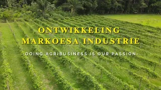 Promo Project Ontwikkeling Markoesa Industrie