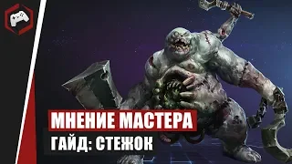 МНЕНИЕ МАСТЕРА #158: «MiwaUbivawka» (Гайд - Стежок) | Heroes of the Storm