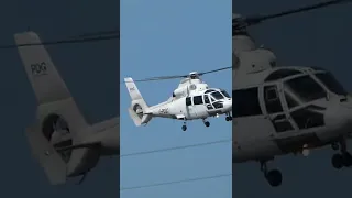 Penzance Helicopters AS365 landing and departure.