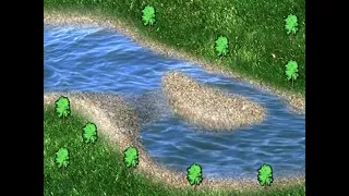 11 Речной поток и виды течений