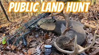 Public Land Bow Hunt Arkansas
