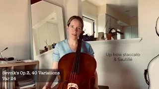 24. Up bow staccato & Sautillé: Sevcik Op.3, Variation 24