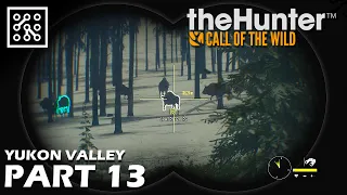 the Hunter: Call of the wild CZ | Mýtický vlk - Part 13 | Lets play | Česky