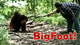 BIGFOOT Caught on Camera! - Found Footage - The Facility Video Archives