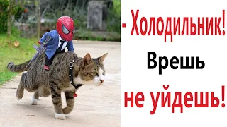 Лютые приколы. КОТ И ЧЕЛОВЕК ПАУК ОБЖОРЫ!!! Тест на психику! Засмеялся проиграл! – Domi Show!