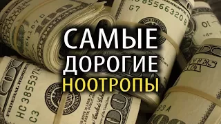 Топ 5 Самых Дорогих Ноотропов