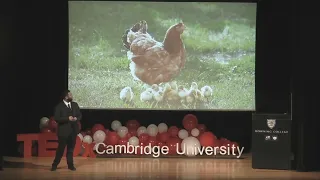 Sustainable Cultured Meat: The Next Big Revolution? | Yash Mishra | TEDxCambridgeUniversity