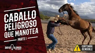 Caballo peligroso que manotea - parte 1