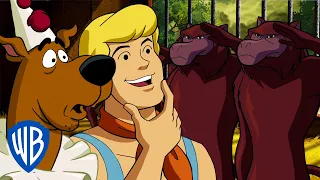 Scooby-Doo! Polsku | Nie wygłupiaj się | WB Kids