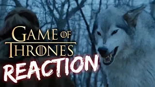 Nymeria Reaction Video Game of Throne Reaction Video