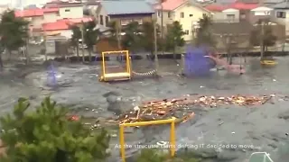 Mysterious 🧜🏼‍♀️  creature caught on camera | 🌊 tsunami Japan