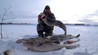 РЫБАЛКА НА ТРОФЕЙНОГО НАЛИМА / ЛУЧШАЯ СНАСТЬ НА НАЛИМА