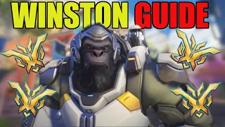 WINSTON GUIDE FOR BEGINNERS - EVERYTHING YOU NEED TO KNOW