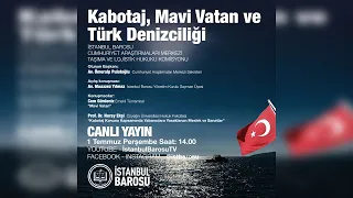 KABOTAJ, MAVİ VATAN VE TÜRK DENİZCİLİĞİ