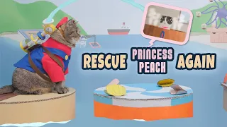 Sunshine in Cat Mario World | Super Mario Cat Rescue Princess Peach