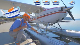 Blippi explora un hidroavión - Blippi Españo | Aprende Colores y Objetos