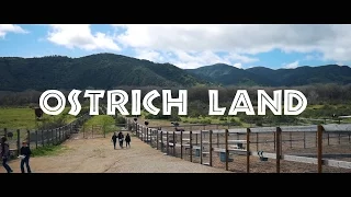 Ostrich Land - Solvang California