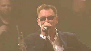 Madness  --  Night  Boat  To Cairo  Official   Live  Video  HQ