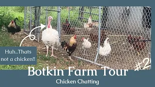 Botkin Farm - Chicken Chatting