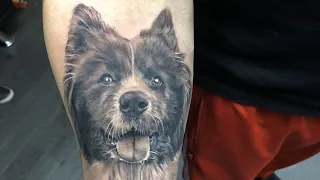 Dog Portrait Tattoo -Time Lapse and Real Time , Black and Grey Tattoo ,Realistic  Animal Tattoo