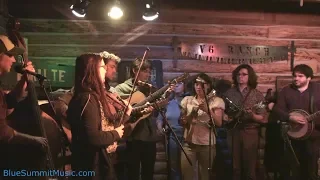 AJ Lee & Blue Summit, and Friends - "I'll Break Out Again Tonight" by Sully Tuttle