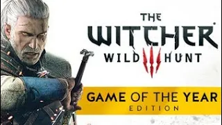 Witcher 3 Wild Hunt