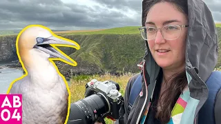 GIANT Seabirds, Thunderstorms ⚡ and Stunning Beauty on Scotland's coast // AB Ep. 04