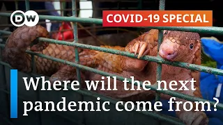 Zoonotic diseases: Can we prevent the next pandemic? | Covid-19 Special