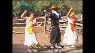 Canarios del Chaco - Escondido