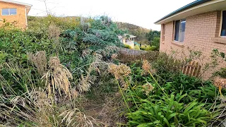 I was FORCED to FIX this JUNGLE ALONE | Epic GARDEN Restoration