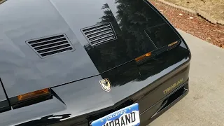My 1987 Pontiac Trans Am GTA