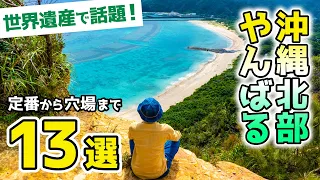 【沖縄旅行】北部やんばる大自然満喫スポット13選！世界遺産で話題