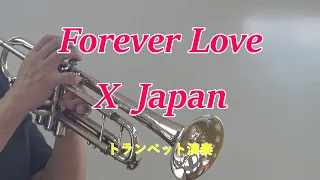 Forever Love / X Japan トランペット演奏