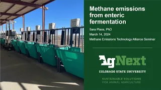 Methane emissions from enteric fermentation
