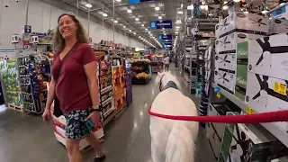 Rowdy at Lowes before Hurricane Hilary hits southern California 81923