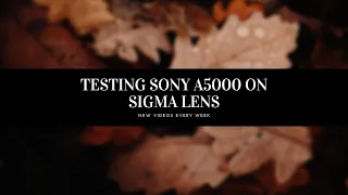 Testing Sigma 16mm 1.4 [Sony e mount] - YES THIS IS  MUST BUY?