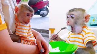 Monkey Pupu buys breakfast for his family to eat together