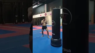 Técnica Low Kick